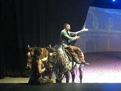 演出-cavalia·舞马