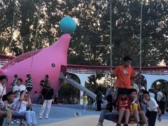 -张店儿童公园