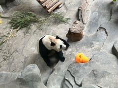 -青藏高原野生动物园