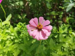 -杜氏旅游度假区