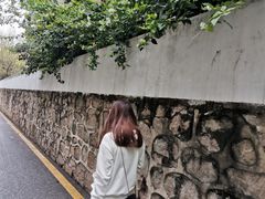 -小南山公园