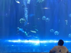 -华夏文旅海洋公园