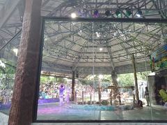 -清迈夜间动物园