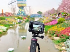 -荷兰花海