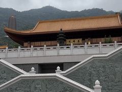 -深圳仙湖植物园