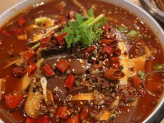 -川堂风·跷脚牛肉·乐山爆炒(宝山日月光店)