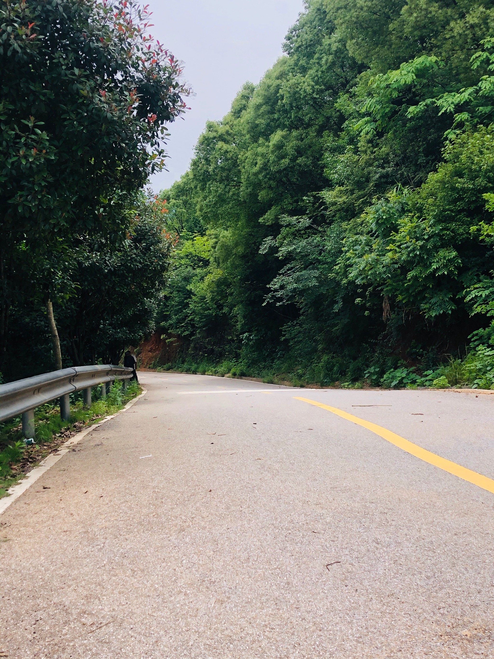 曲径通幽的山间路