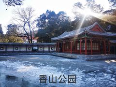-香山公园