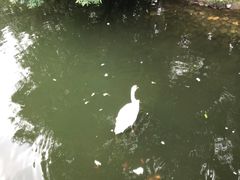 -长白岛森林公园