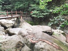 -湖州龙王山景区