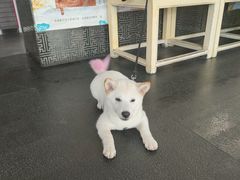 -华晟山城火锅(开发区港西东阁里店)