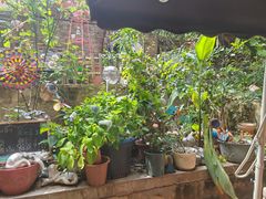 -鱼乐岛餐厅·户外花园主题餐厅