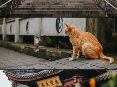 -句容茅山景区
