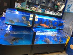 水产区-盒马鲜生(皇庭广场店)