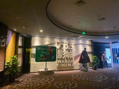 -万达影城(汉街万达广场IMAX店)