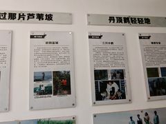 -盐城丹顶鹤湿地生态旅游区