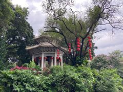-荔湾湖公园