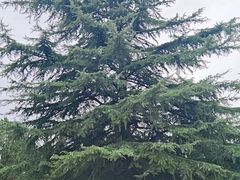 -秦始皇帝陵博物院-丽山园
