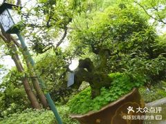 -南山植物园