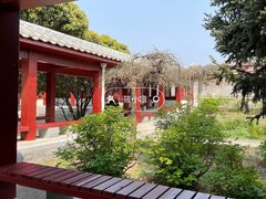 -洛阳古墓博物馆