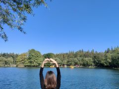 -上海共青森林公园