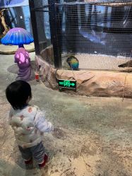 -酷嗒动物文化乐园(cutezoo西溪乐天城店)