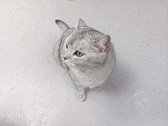 -上海大自然野生昆虫馆(东方明珠·爬宠昆虫探索中心)