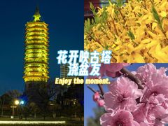 -西海子公园