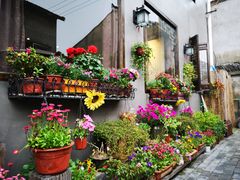 -小草屋轰趴馆别墅派对新场团建家庭聚会