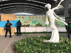 -龙大花卉苗木市场