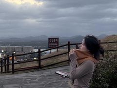 -涉地可支