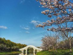 -上海海湾国家森林公园