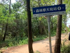 -日照海滨国家森林公园