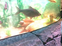 -沈阳海洋探索中心