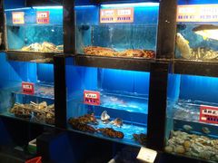 水产区-文华小渔村(椒江康平路店)