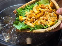 -滇野云南野生菌餐厅(陕西南路店)