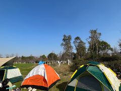 -瑶湖郊野森林公园