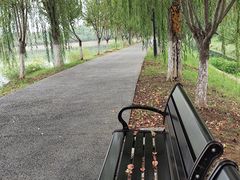 -羊山湖公园