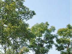 -南关石牌坊古镇