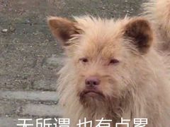 -海底捞火锅(银泰中心店)