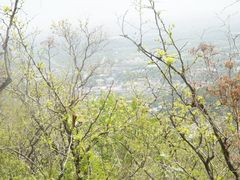 -香山公园