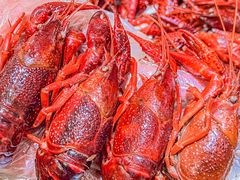 -香满锅老北京羊蝎子火锅·家常菜(新街口店)