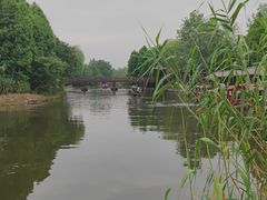 -溱湖国家湿地公园