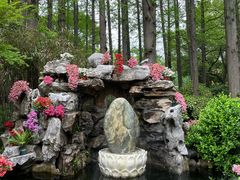 -上海醉白池公园