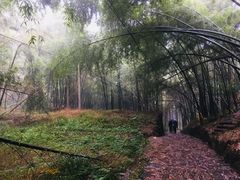 -会稽山峡洞漂流-上青古道