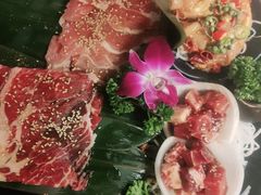 -猫爪爪原切自助烤肉(观音桥阳光世纪店)