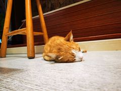 -渔太泰漓江小馆·广西融合菜(西街店)