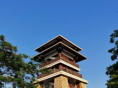 -大湾区中央湿地公园