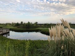 -鄱阳湖国家湿地公园