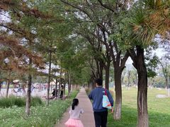 -汉长安城未央宫国家考古遗址公园